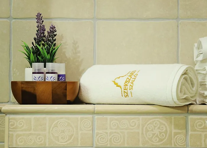 住宿加早餐酒店 Szallo